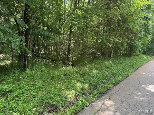 0 Old St Louis RD, Valles Mines, MO 63087