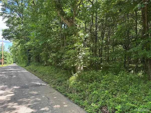 0 Old St Louis RD, Valles Mines, MO 63087