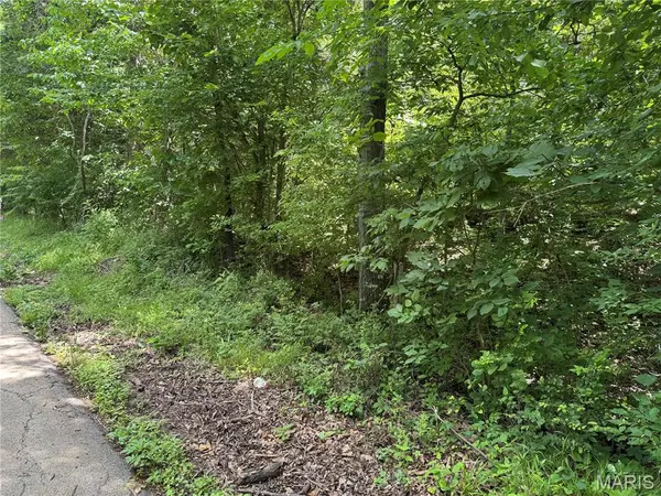 0 Old St Louis RD, Valles Mines, MO 63087