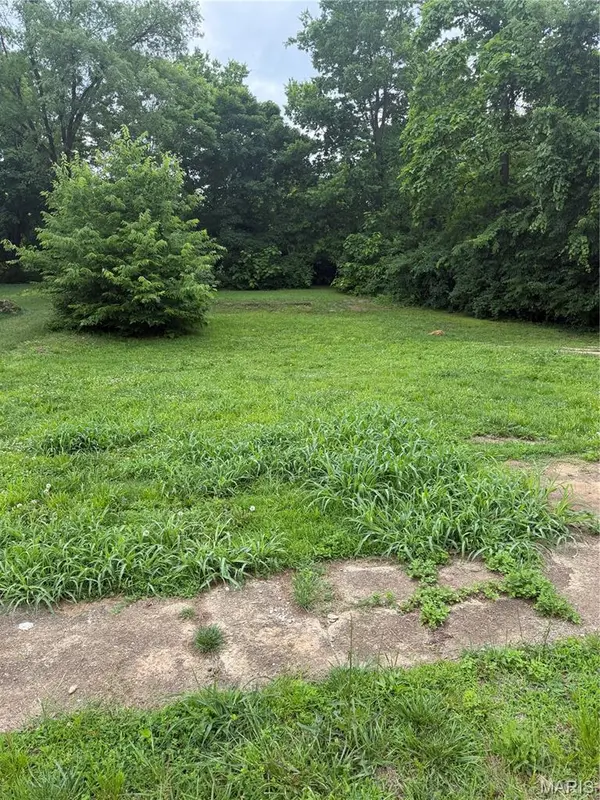 507 Field ST, Park Hills, MO 63601