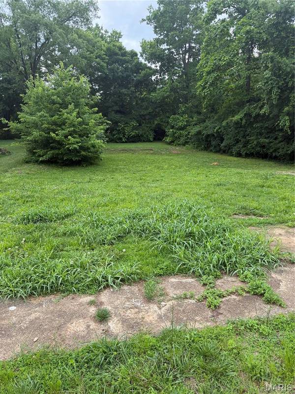 507 Field ST, Park Hills, MO 63601