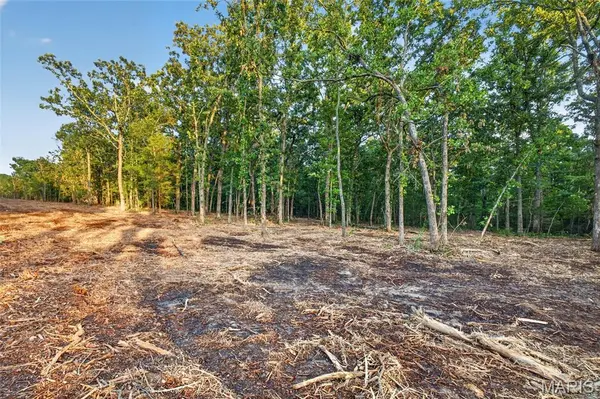 003 M- Cantrell RD, Mansfield, MO 65704