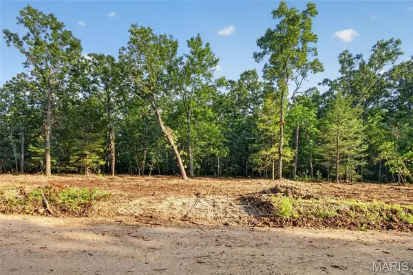 004 M- Cantrell, Mansfield, MO 65704