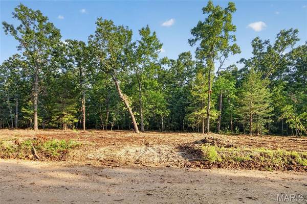 004 M- Cantrell, Mansfield, MO 65704