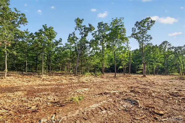 005 M- Cantrell RD, Mansfield, MO 65704