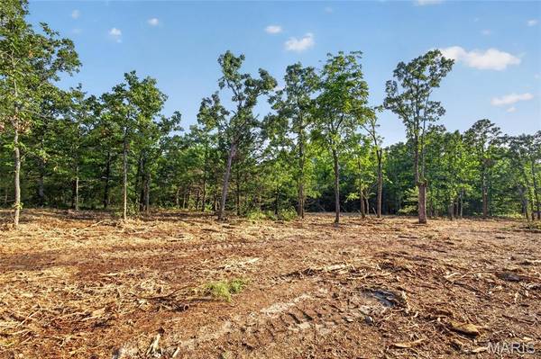 005 M- Cantrell RD, Mansfield, MO 65704