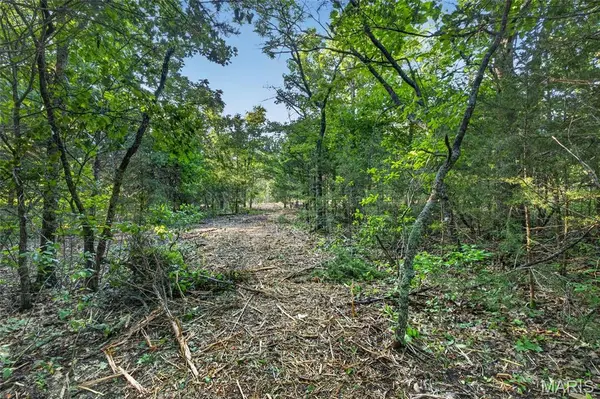 005 M- Cantrell RD, Mansfield, MO 65704