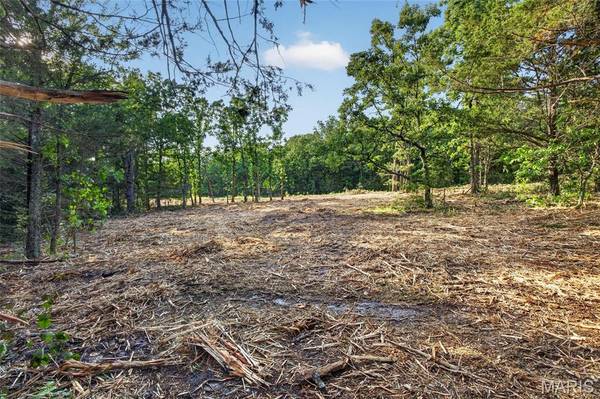 005 M- Cantrell RD, Mansfield, MO 65704