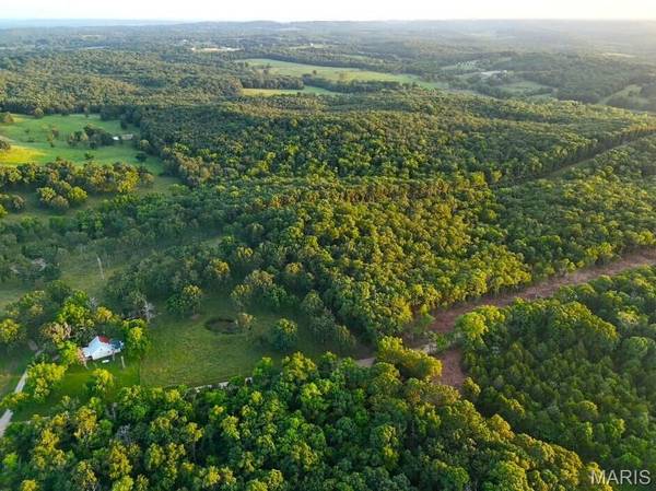 006 M- Cantrell RD, Mansfield, MO 65704