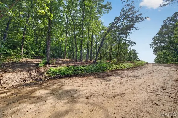 006 M- Cantrell RD, Mansfield, MO 65704
