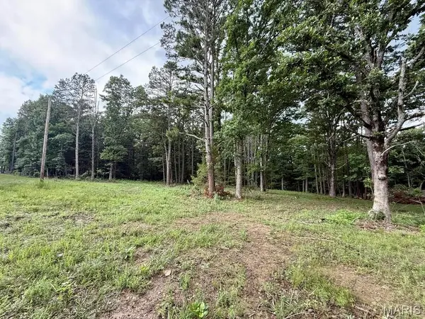 000 West Highway 32, Licking, MO 65542