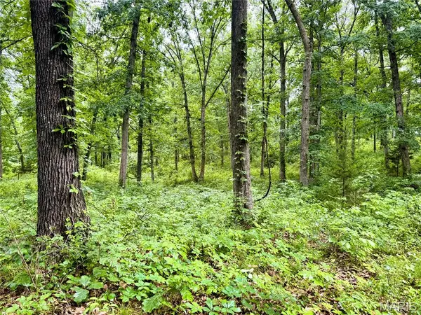 13628 Thornberry Rd., New London, MO 63459