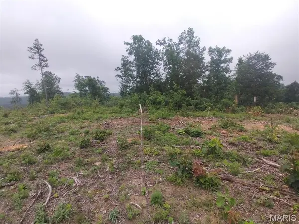 2 Off Hwy O, Belleview, MO 63623