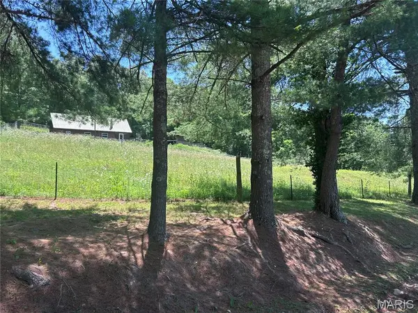 183 Kehner RD, Steelville, MO 65565