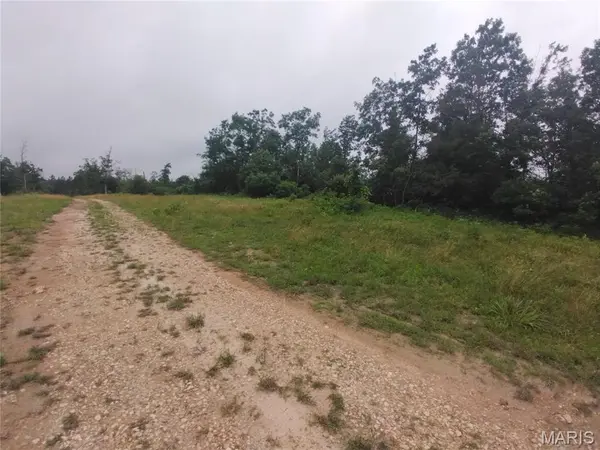 9 Tract 9 Off Highway O, Belleview, MO 63623