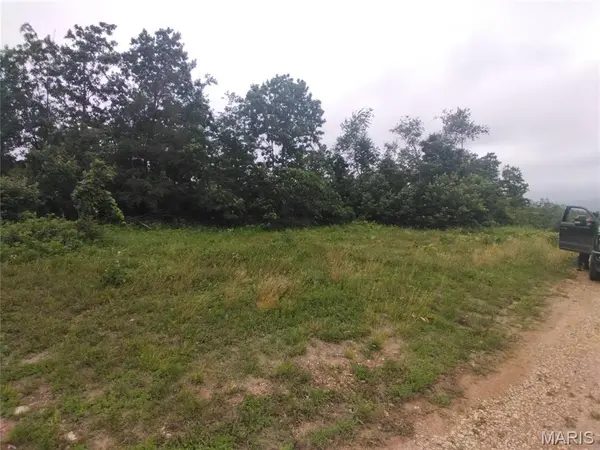 9 Tract 9 Off Highway O, Belleview, MO 63623