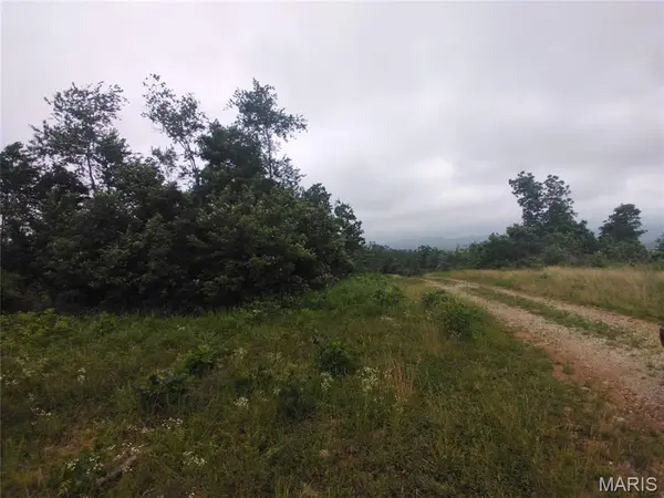9 Tract 9 Off Highway O, Belleview, MO 63623