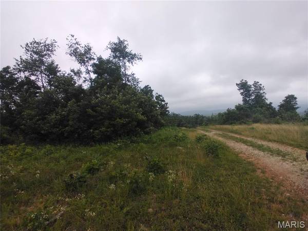 9 Tract 9 Off Highway O, Belleview, MO 63623