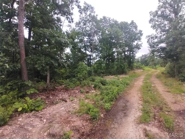 5 Tract 5 Off Hwy O, Belleview, MO 63623