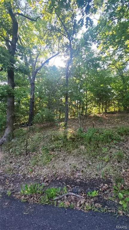 lot 14 E Forest LN, Owensville, MO 65066