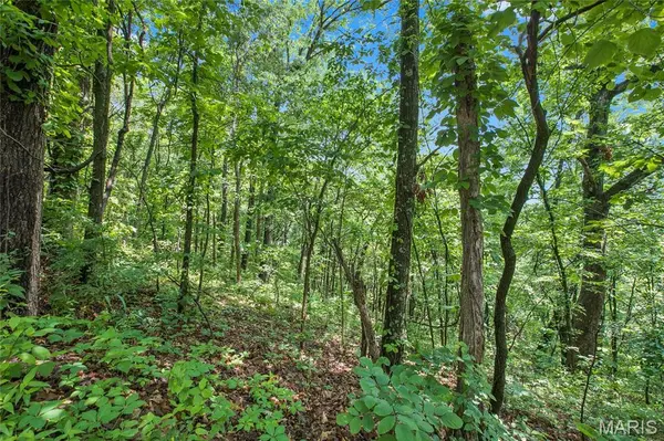 9 acres Clermont DR, Festus, MO 63028