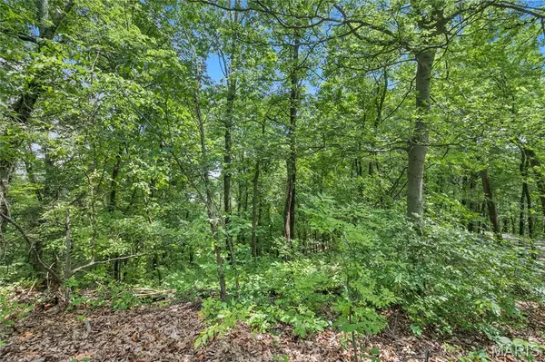 9.41 acres Clermont DR, Festus, MO 63028