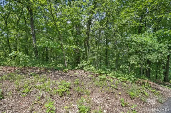 9.41 acres Clermont DR, Festus, MO 63028