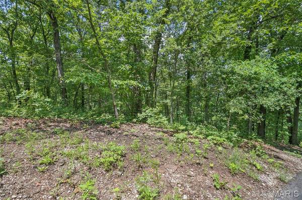 9.41 acres Clermont DR, Festus, MO 63028