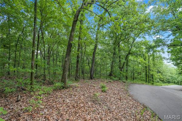9.41 acres Clermont DR, Festus, MO 63028