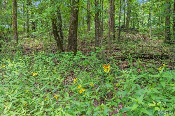 6.26 acres Mississippi Queen CT, Festus, MO 63028