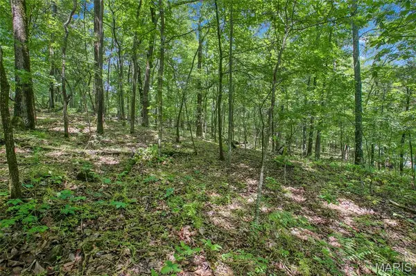 6.26 acres Mississippi Queen CT, Festus, MO 63028