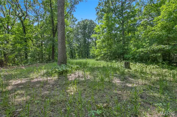 8.75 acres Mississippi Queen CT, Festus, MO 63028