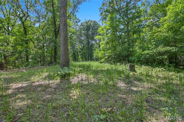 8.75 acres Mississippi Queen CT, Festus, MO 63028