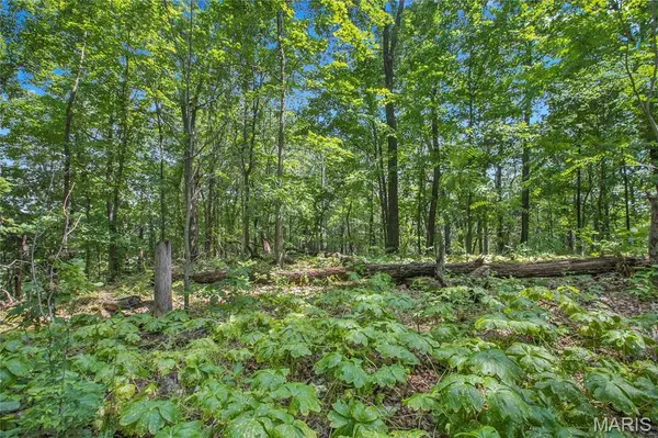 8.75 acres Mississippi Queen CT, Festus, MO 63028