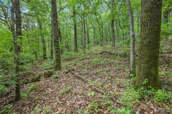 8.75 acres Mississippi Queen CT, Festus, MO 63028