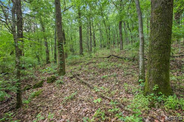 8.75 acres Mississippi Queen CT, Festus, MO 63028