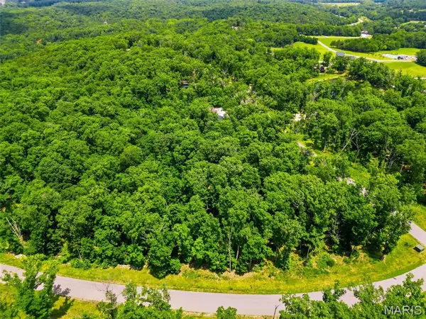 2833 Tyrolean Way DR, Innsbrook, MO 63390