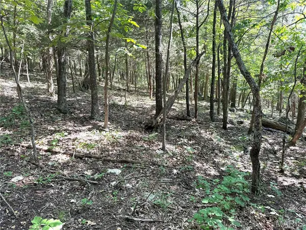 4567 Thunder Ridge RD, Wildwood, MO 63025