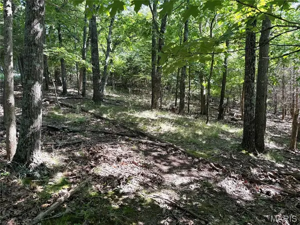 4567 Thunder Ridge RD, Wildwood, MO 63025