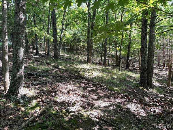 4567 Thunder Ridge RD, Wildwood, MO 63025