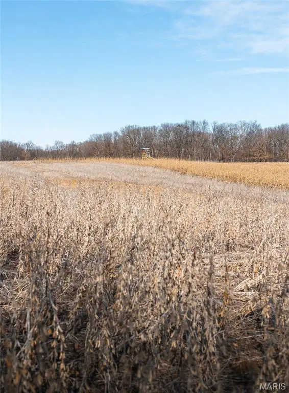 00 TBD Jubilee, Greencastle, MO 63545