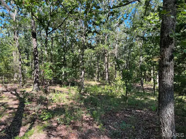 21200 NEAL DR, Lebanon, MO 65536