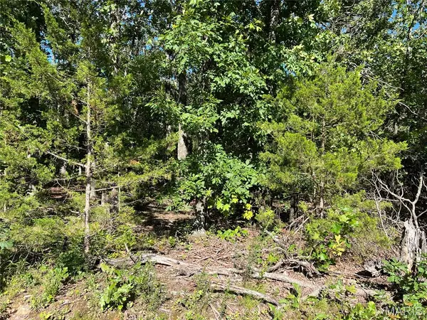 21210 NEAL DR, Lebanon, MO 65536