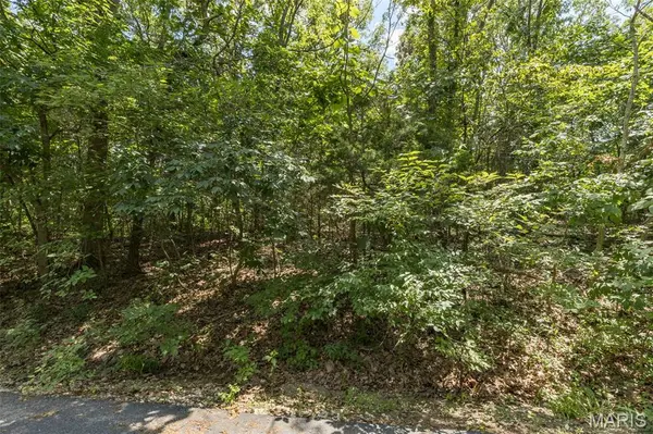 Lot 11B Southwoods DR, Festus, MO 63028