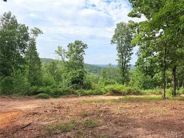 CR 453 Lots 393,394,395,396 & 729,730,731, Piedmont, MO 63957