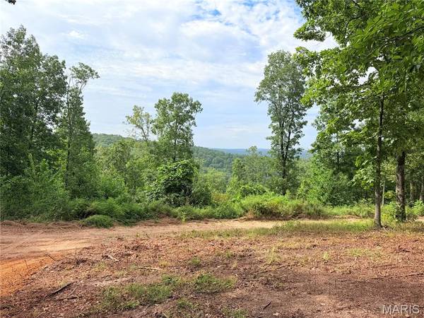 CR 453 Lots 393, 394, 395, 396 & 729, 730, 731, Piedmont, MO 63957
