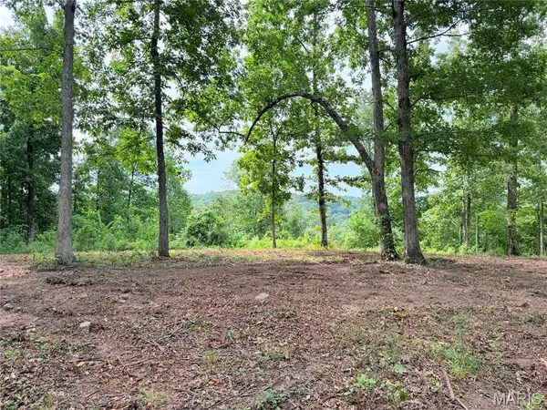 CR 453 Lots 393,394,395,396 & 729,730,731, Piedmont, MO 63957