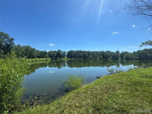 641 Briarwood DR, St Clair, MO 63077