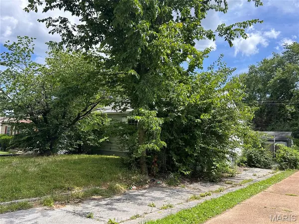 442 Cameron RD, St Louis, MO 63137
