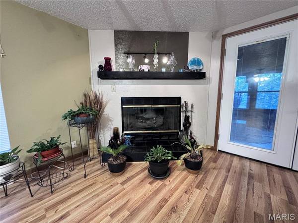 14280 W Sunrise Lake DR, De Soto, MO 63020